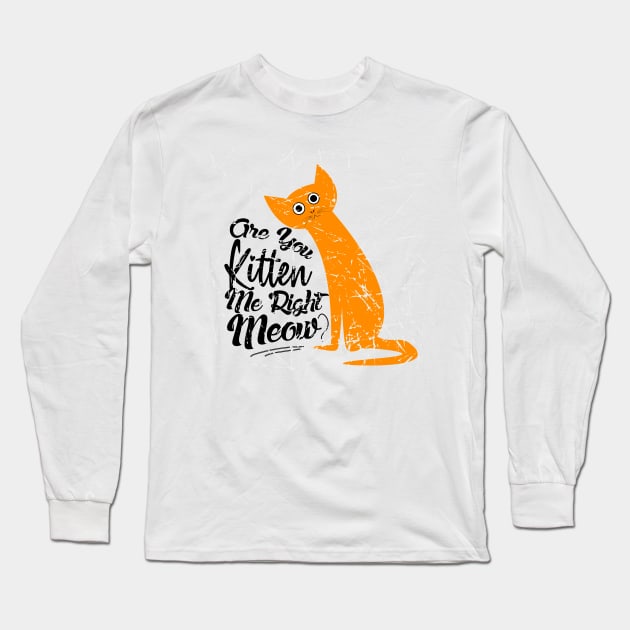 Are You Kitten Me Right Meow Funny Pun Long Sleeve T-Shirt by NASSER43DZ